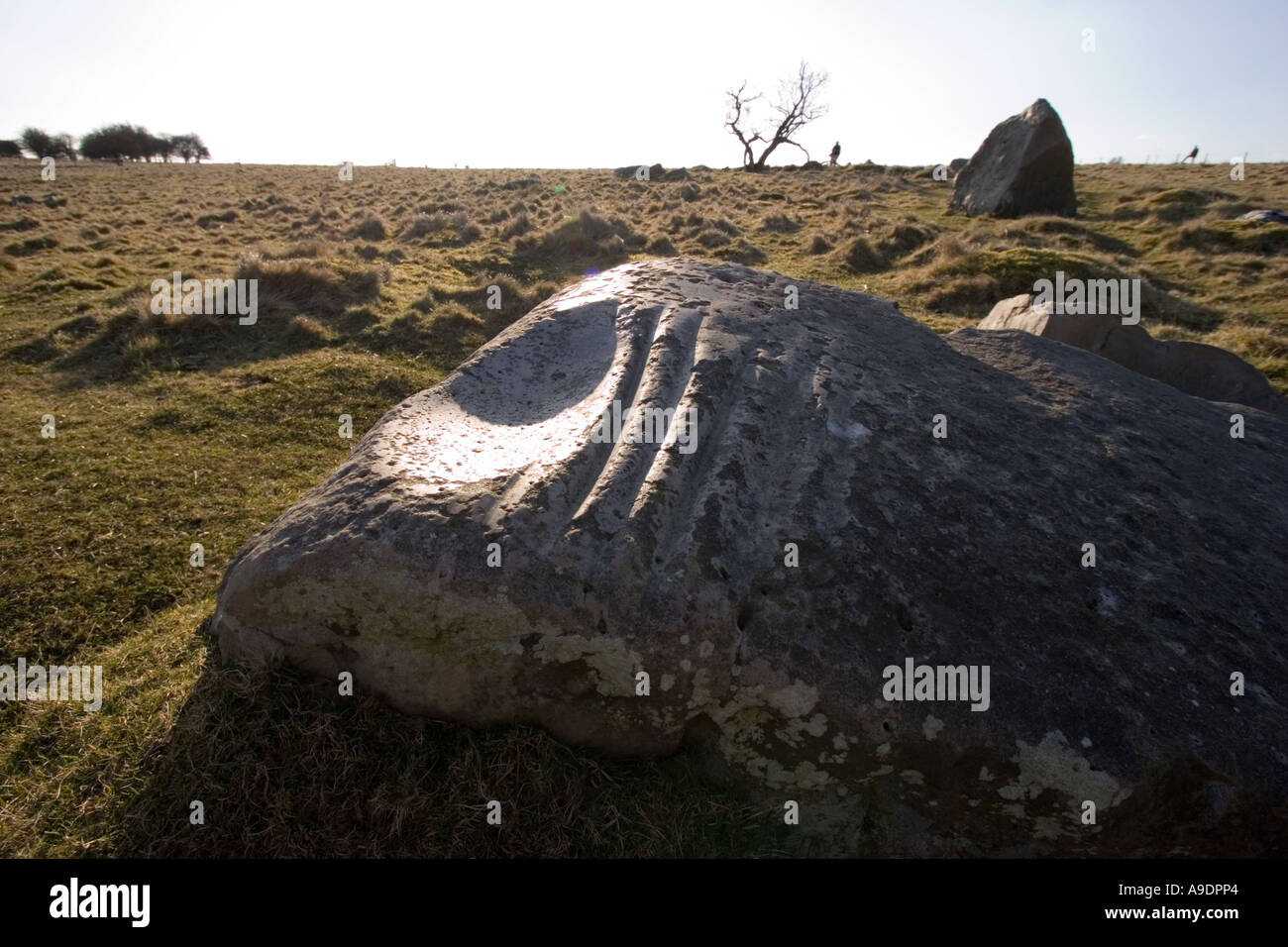 Ancient polishing stone The Polissoir used for grinding polishing and