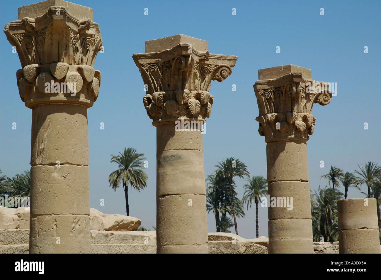Column heads and palm trees at the Temple of Hathor Dedarah Qena Egypt Stock Photo