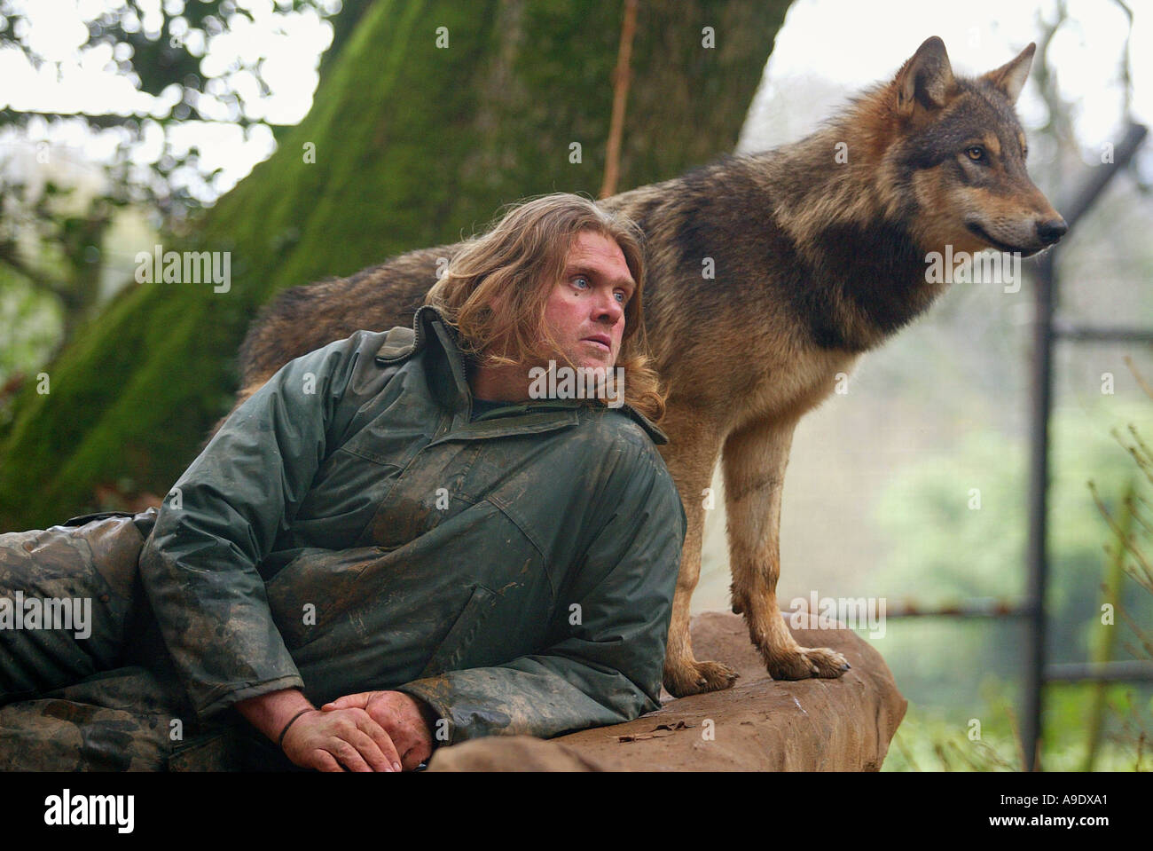 Shaun Ellis of Wolfpack Management at Coombe Martin Wildlife Park in North Devon UK Stock Photo