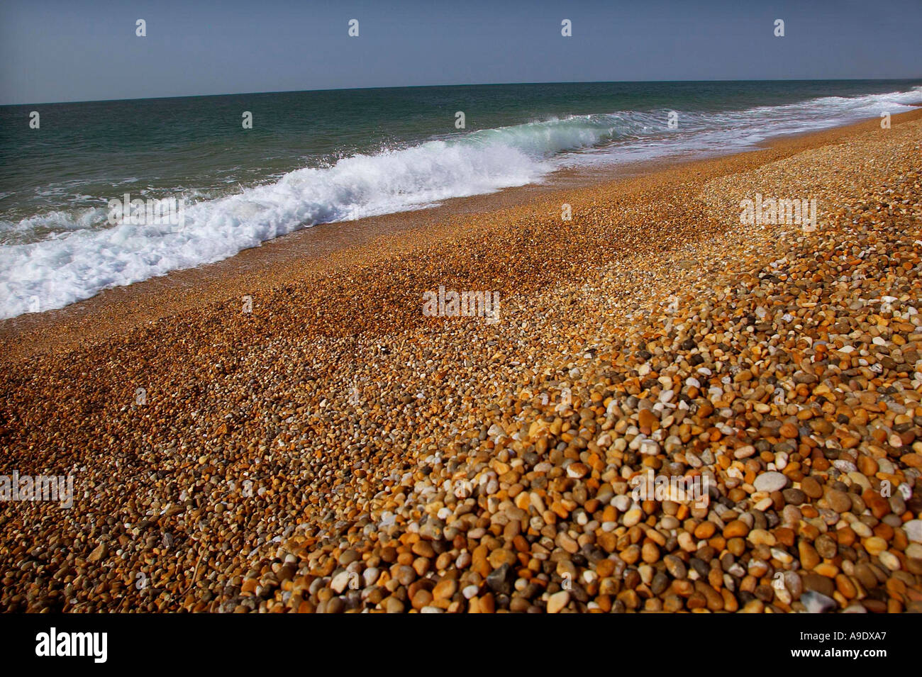 Chesil beach at West Bexington Dorset Stock Photo Alamy