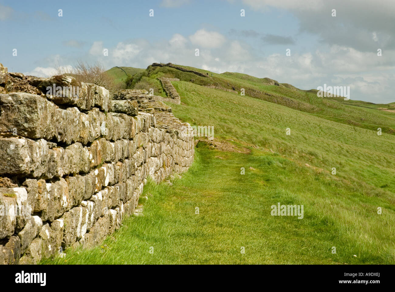 Hadrian s Wall Trail Crosses Cawfield Crags Stock Photo Alamy hadrian-s-wall-trail-crosses-cawfield-crags-stock-photo-alamy
