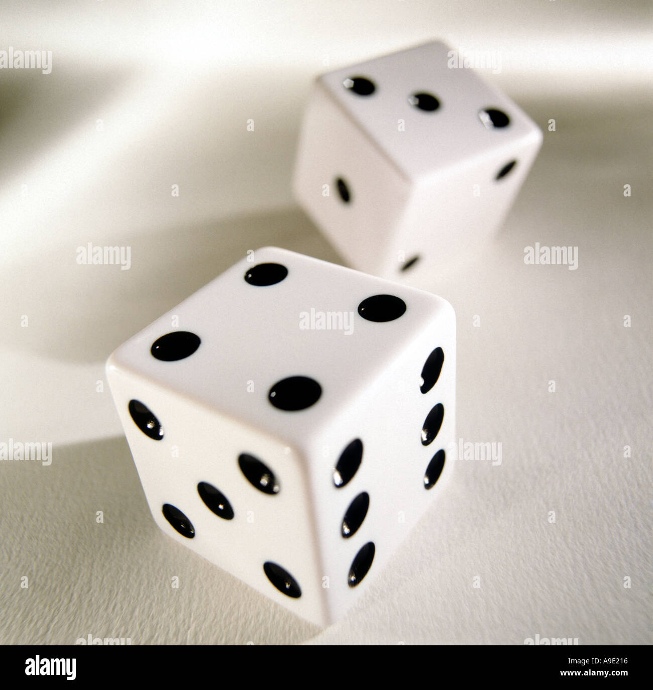 White dice Stock Photo