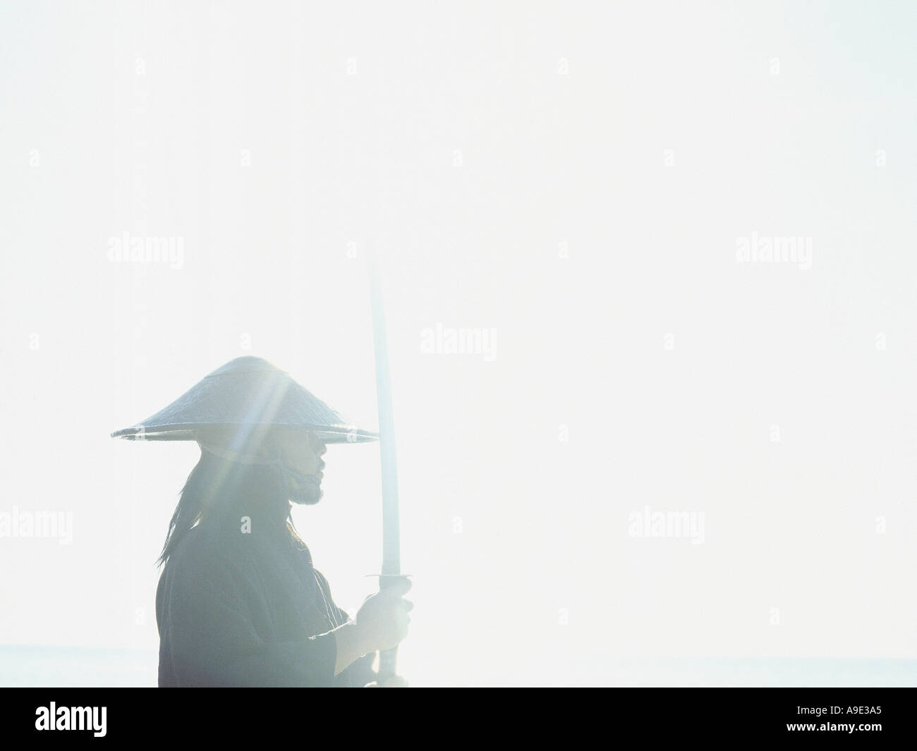 Samurai with raised sword hi-res stock photography and images - Alamy