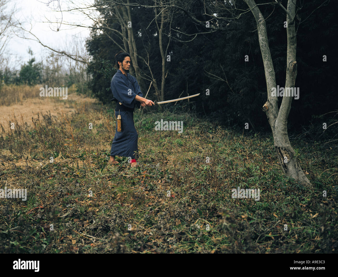Samurai with raised sword hi-res stock photography and images - Alamy