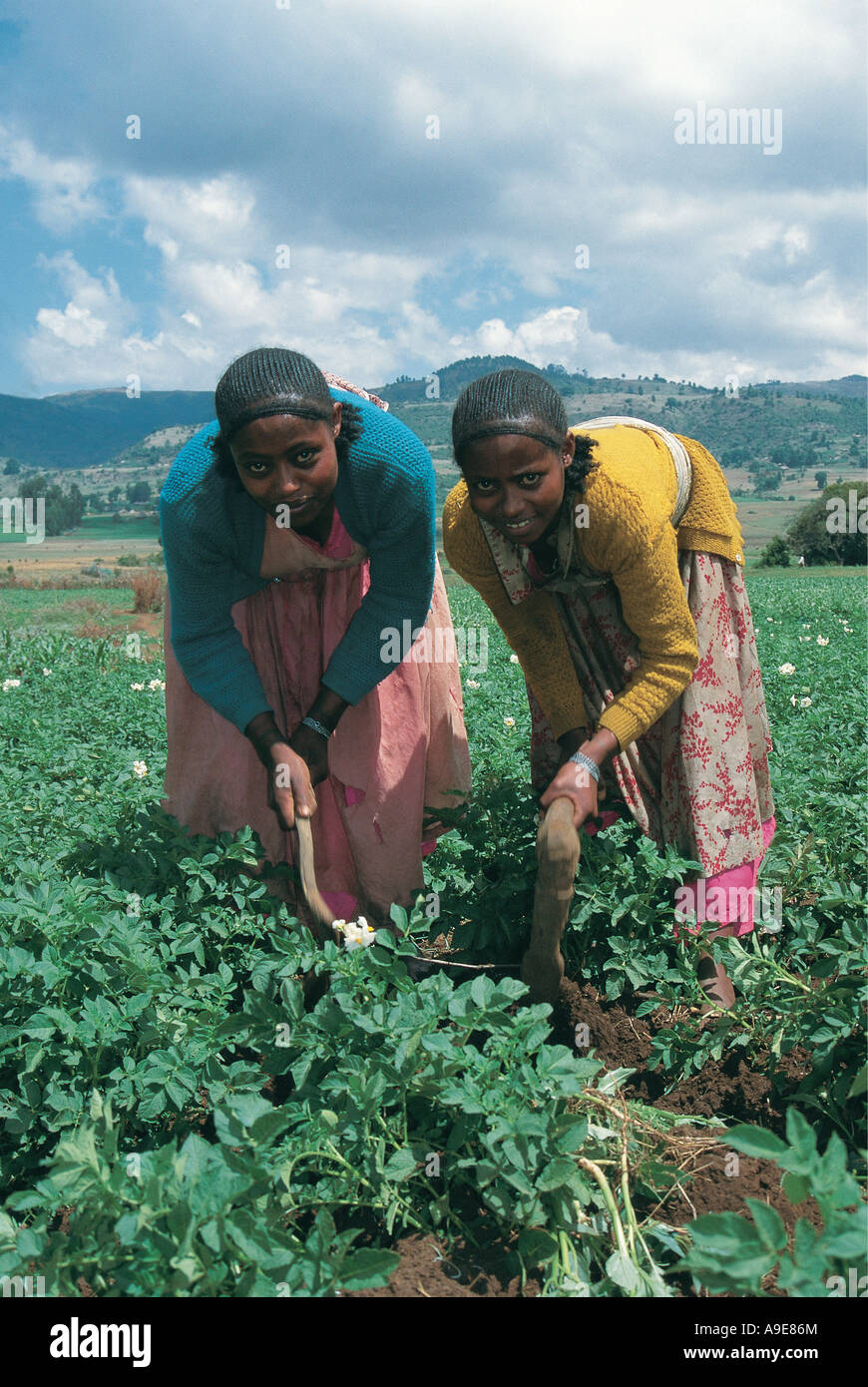 Kochada olomon ichida jinsiy qul Chexiya kocha porno