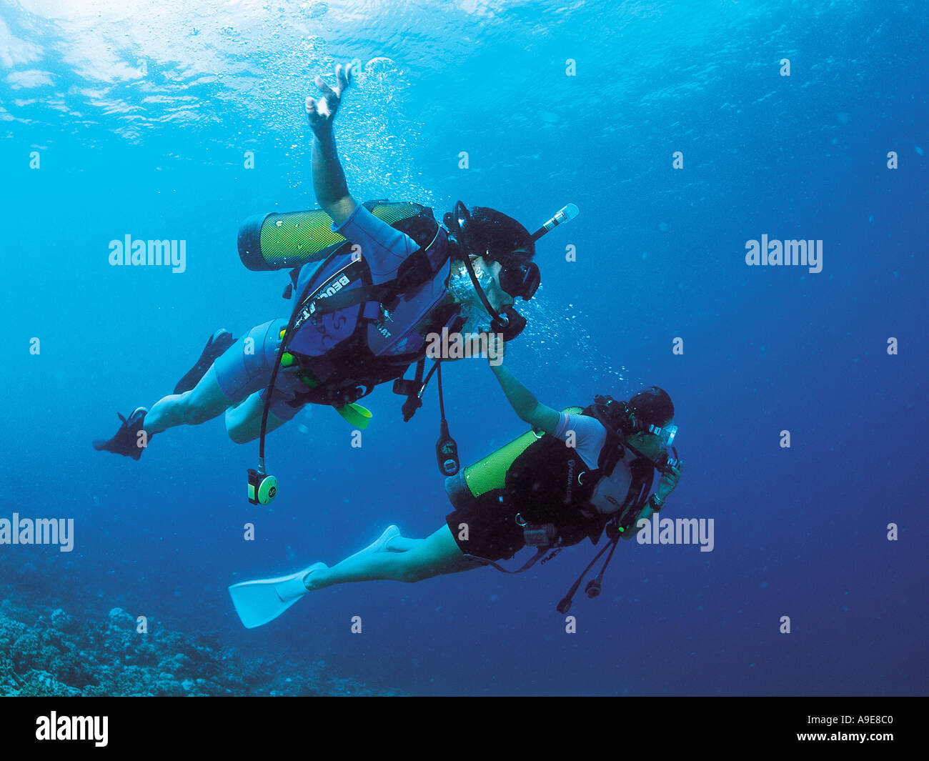 Divers holding hands hi-res stock photography and images - Alamy