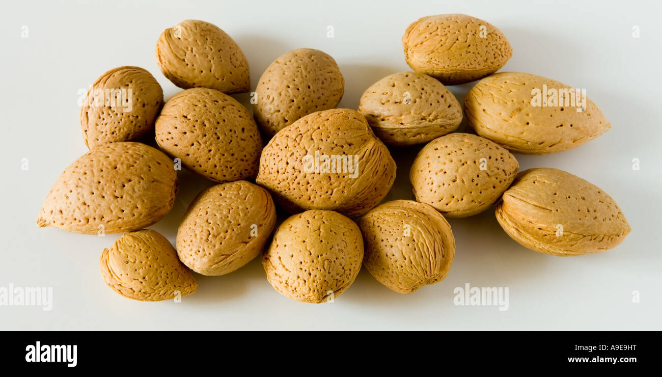 Close up of Almond nuts Prunus dulcis, syn. Prunus amygdalus, or Amygdalus communis on white background Stock Photo