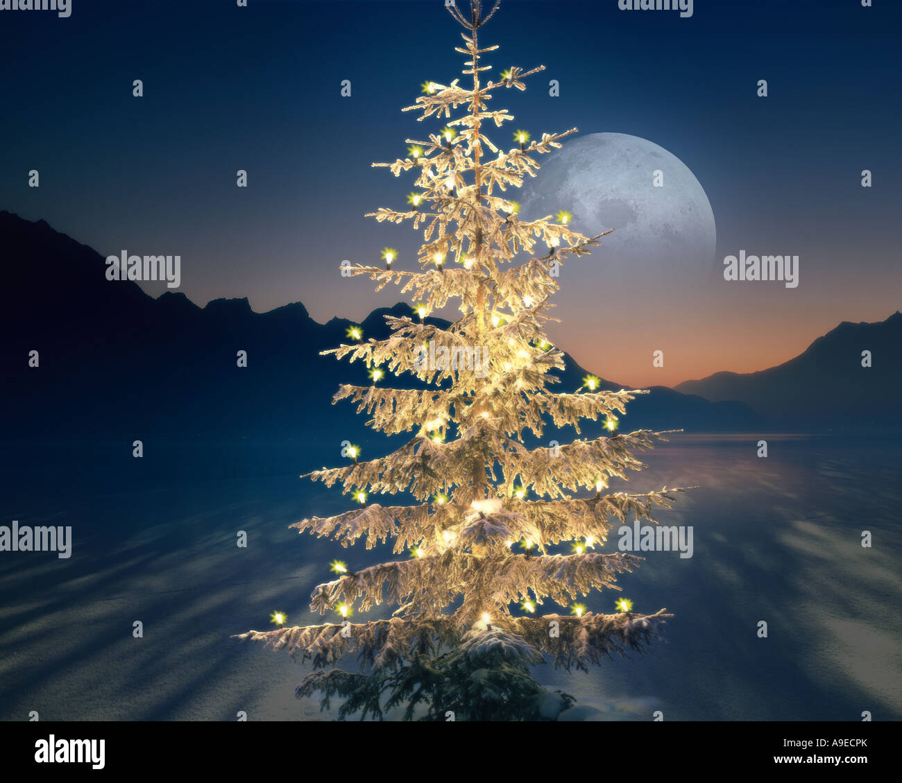 CH - UPPER ENGADIN:  Alpine Christmas Scene Stock Photo