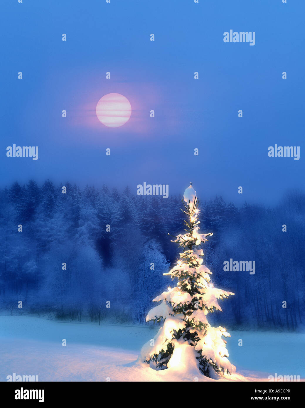 CH - UPPER ENGADIN:  Alpine Christmas Scene Stock Photo