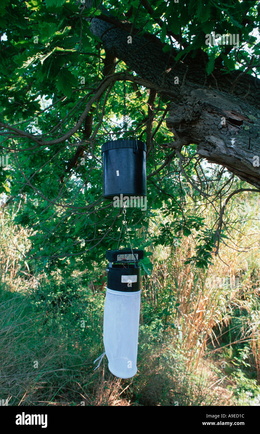 Carbon dioxide anfd light baited trap for mosquito surveillance and control Stock Photo