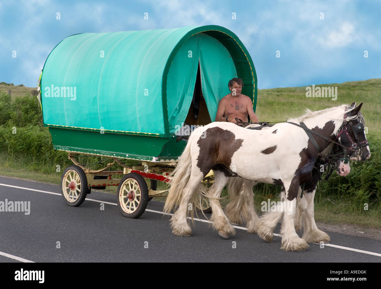 Gypsie horse hires stock photography and images Alamy