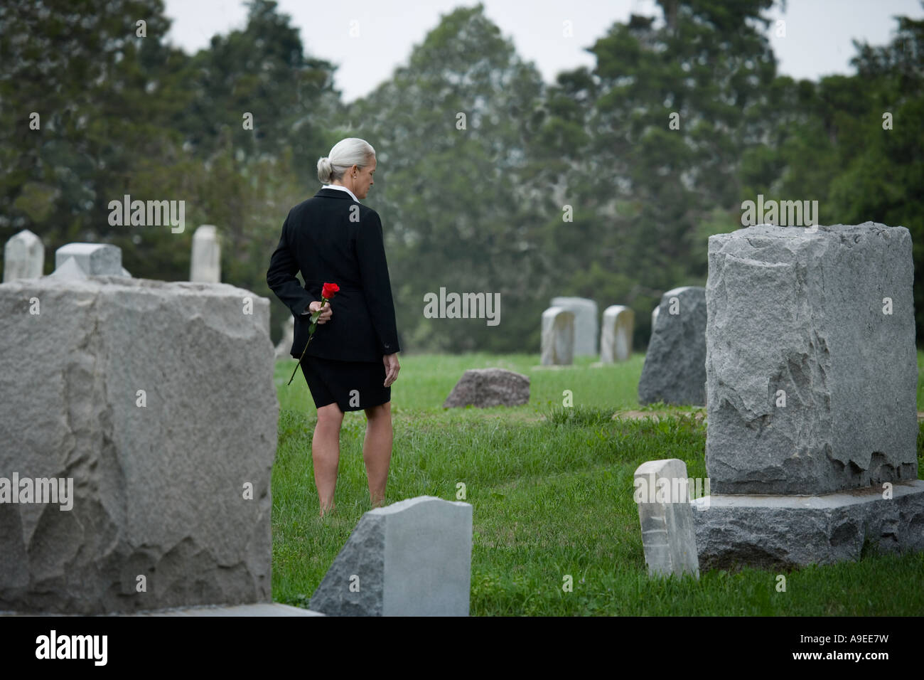 A senior woman makes her way to a gravesite while carrying a rose Stock Photo