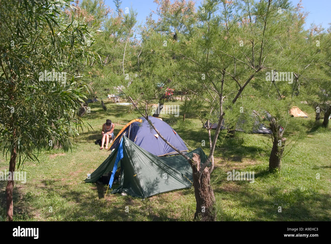 Trees tents and young woman tourist Mariposa campsite Alghero Sardinia  Stock Photo - Alamy