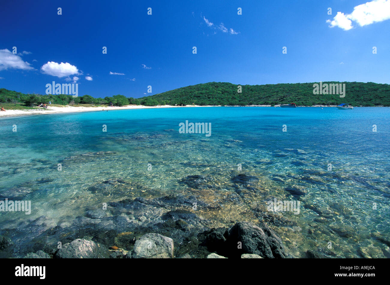 St John US Virgin Islands National Park Salt Pond Bay coral and clear