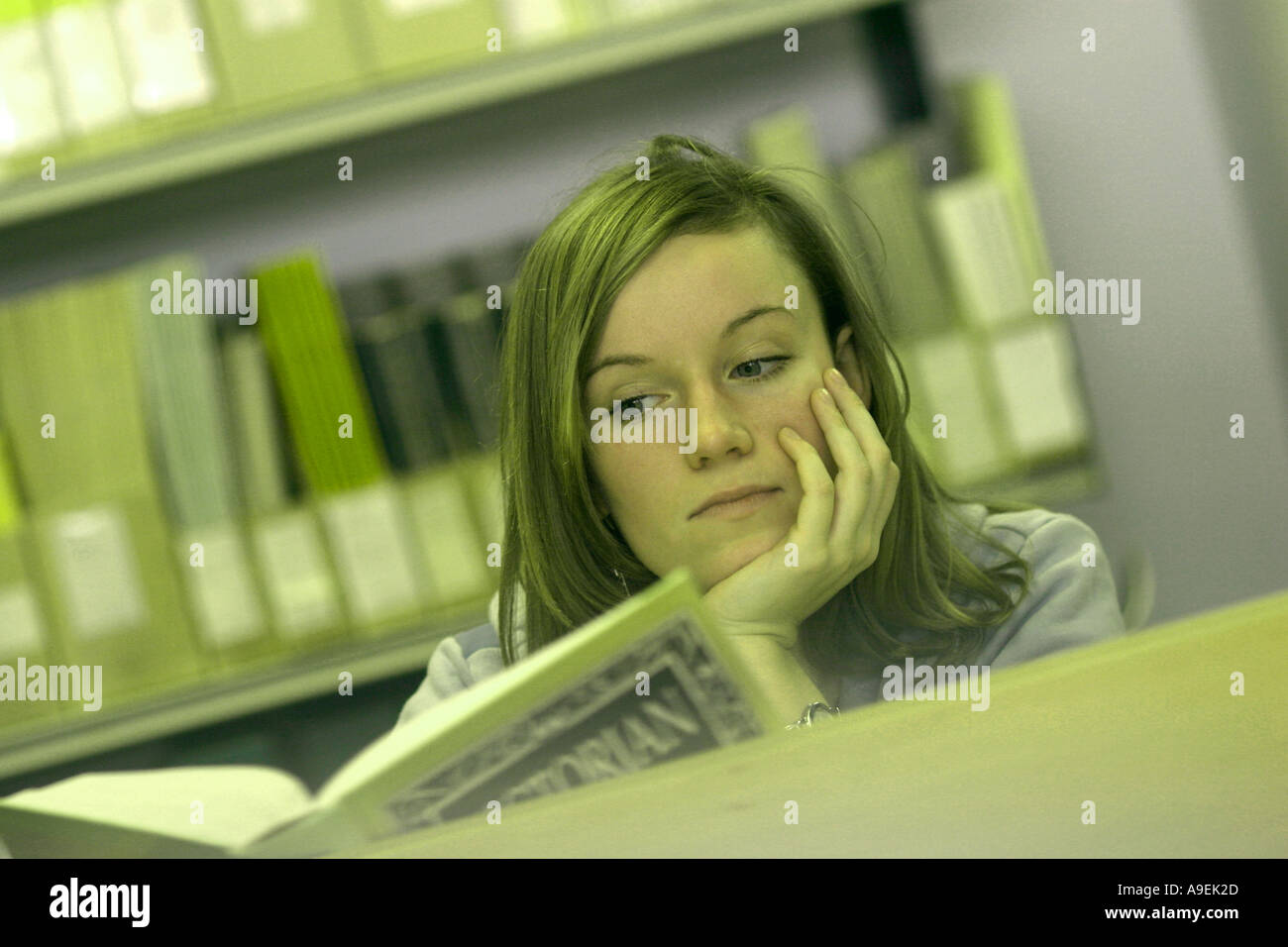 student studying in a library Stock Photo - Alamy