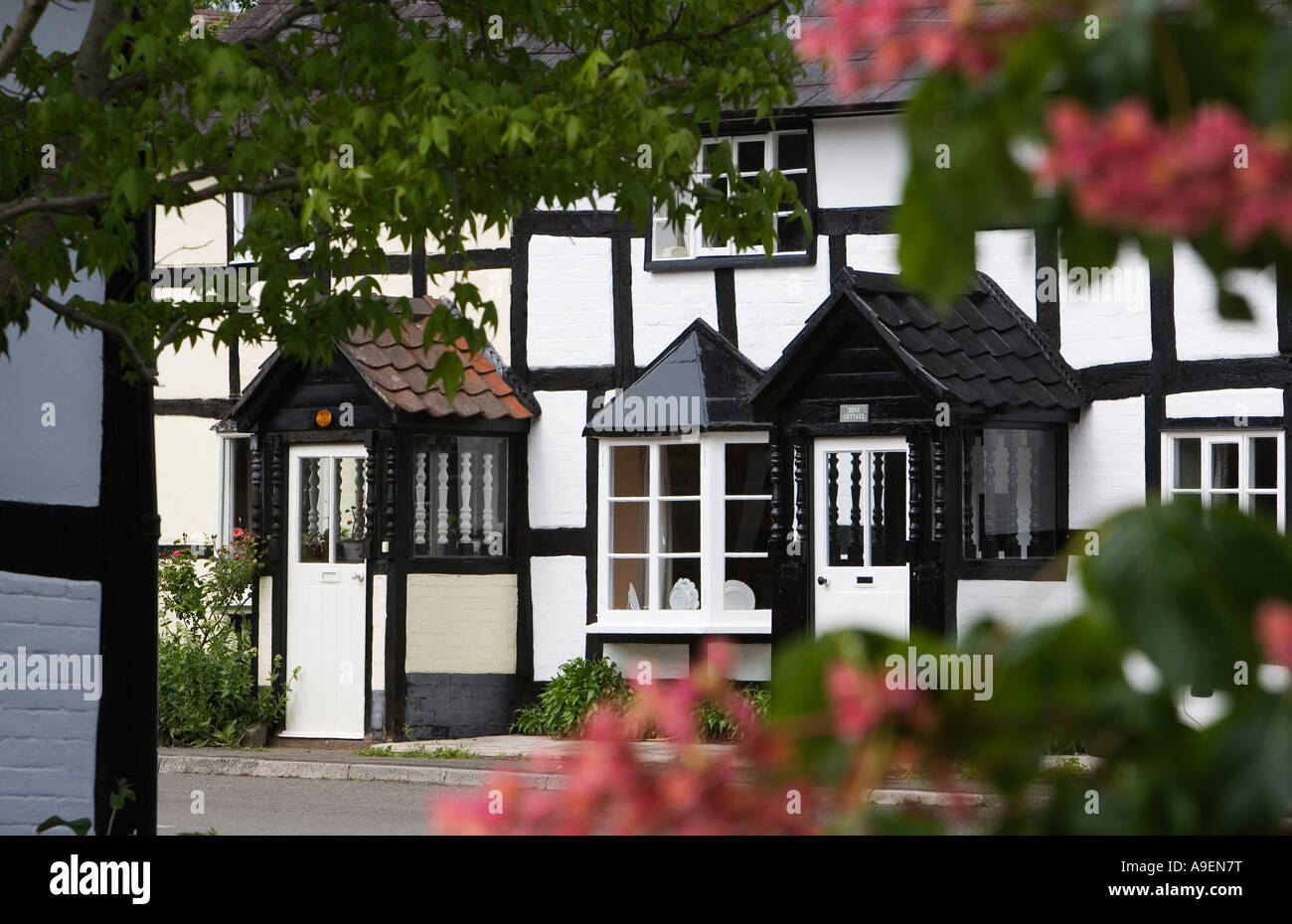 Dilwyn Herefordshire UK May 2007 Stock Photo Alamy