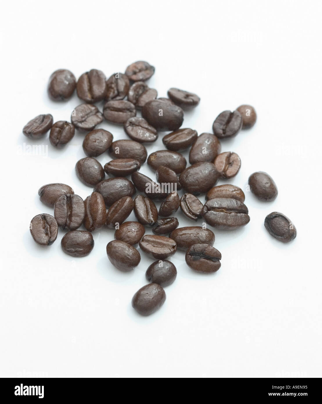 Name beans hires stock photography and images Alamy