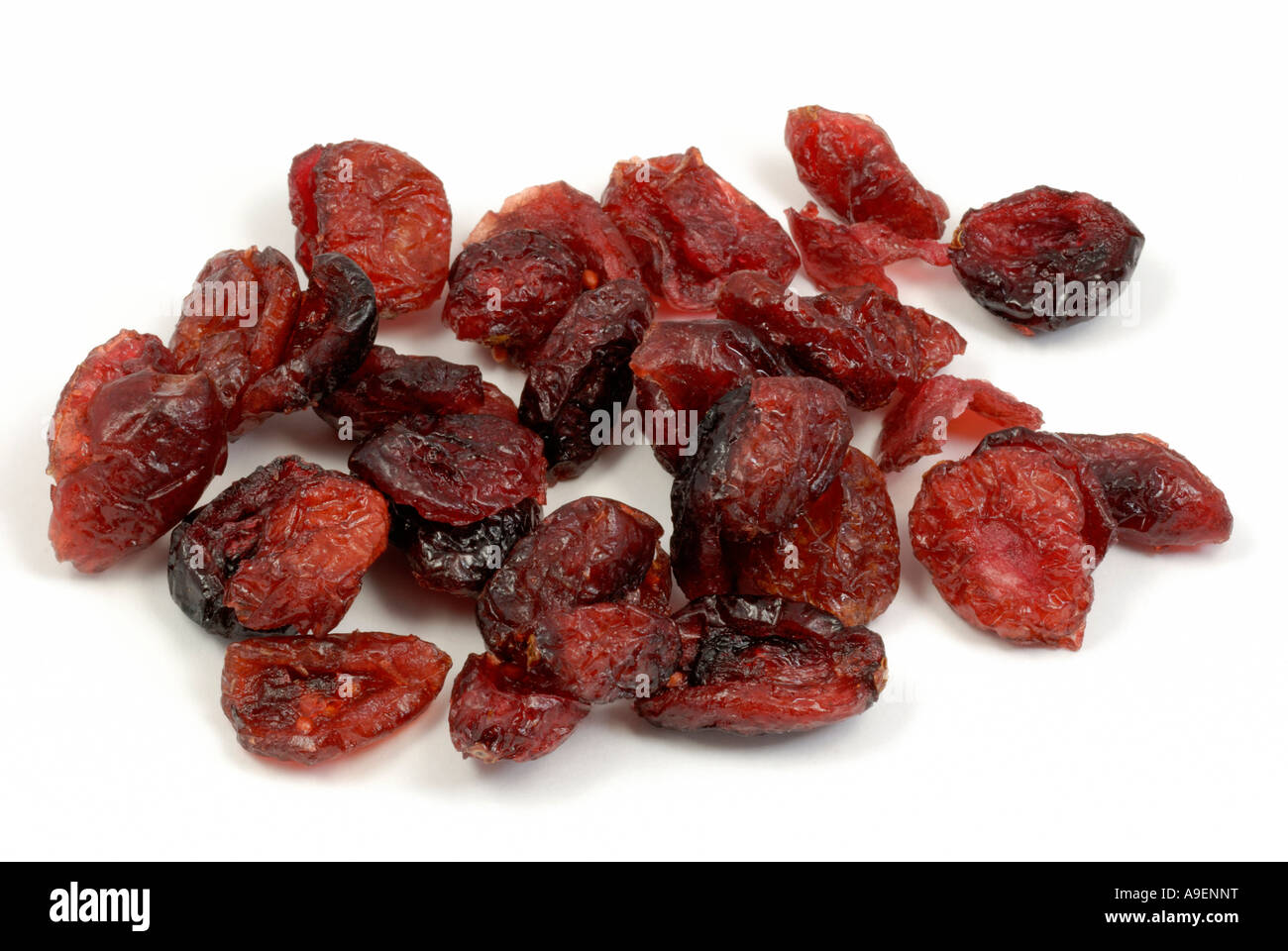 American Cranberry (Vaccinium macrocarpon, Oxycoccus macrocarpus), dried berries, studio picture Stock Photo