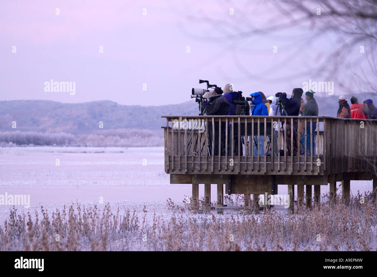Bird Watchers Bosque del Apache NWR Stock Photo Alamy