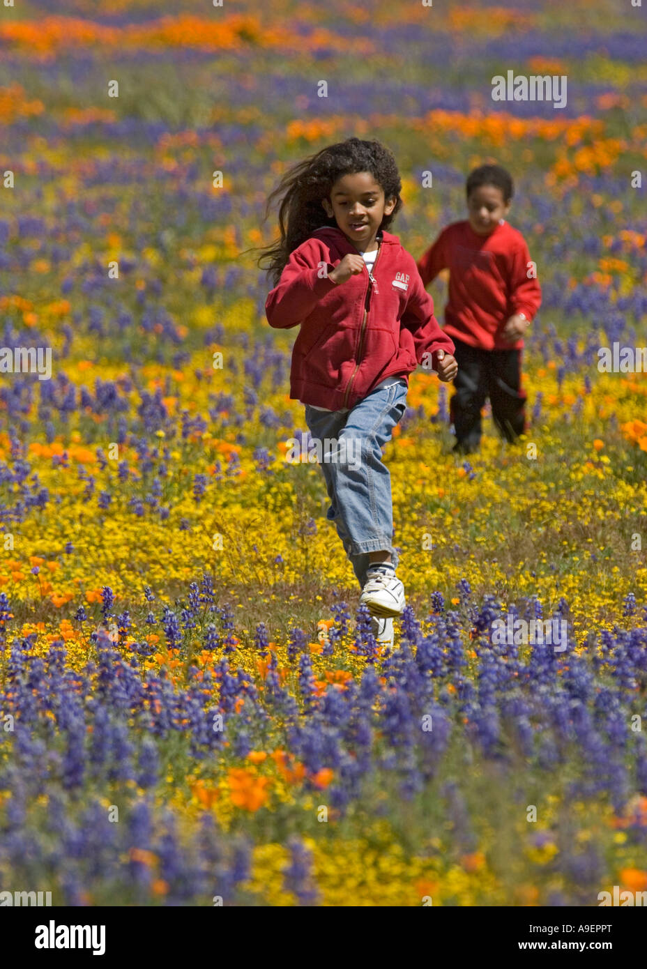 Boys Running in a Field of Wildflowers Stock Photo - Alamy