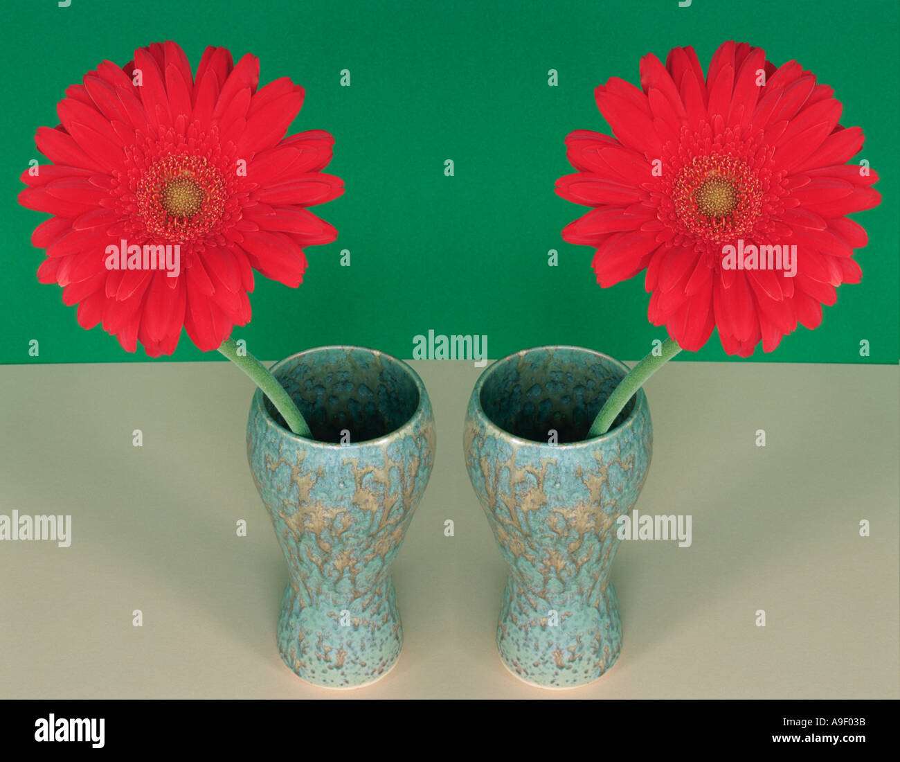 Two red Gerbera "flower stems" in vase Stock Photo