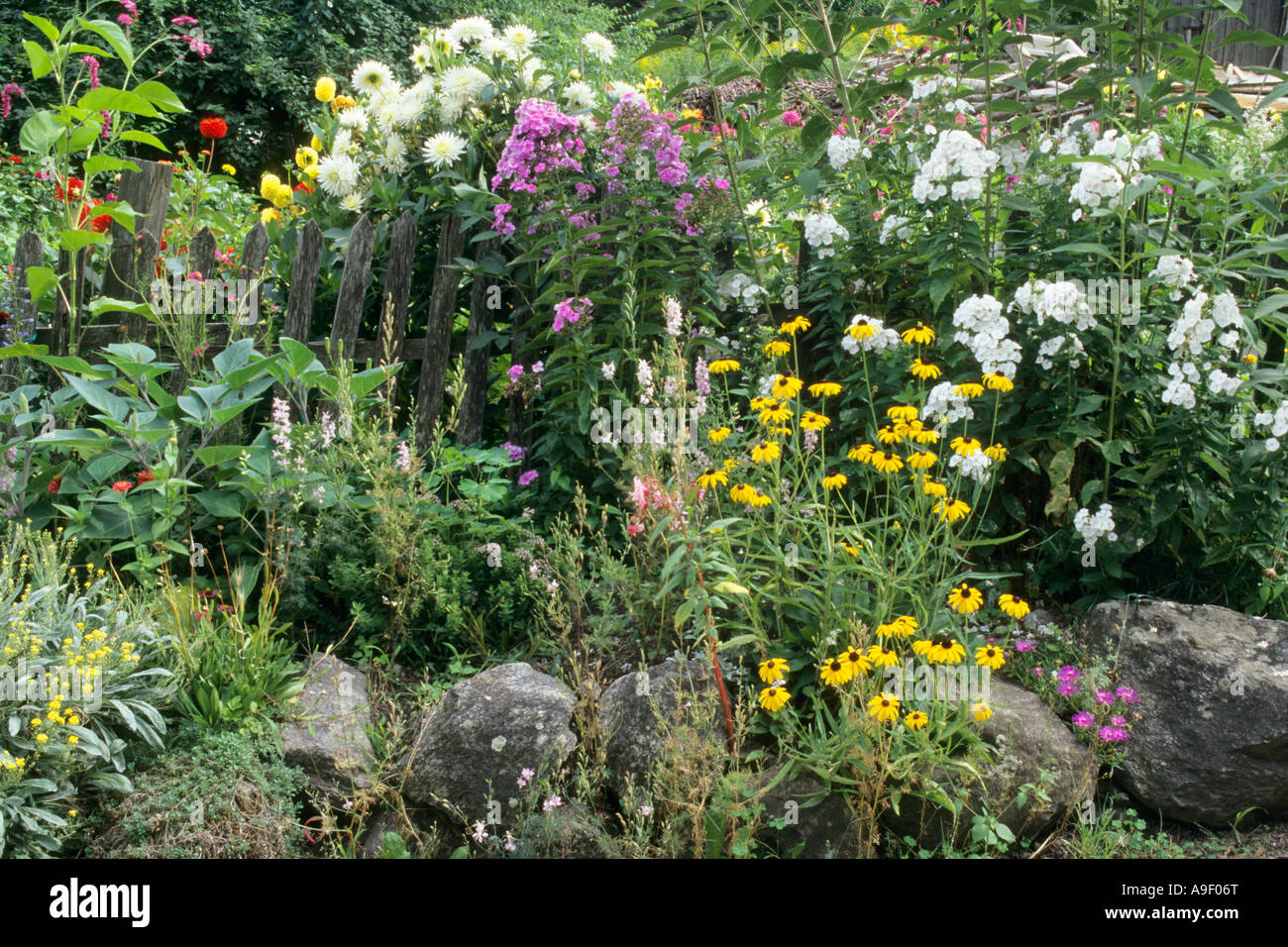 Blooming flowerbed Stock Photo