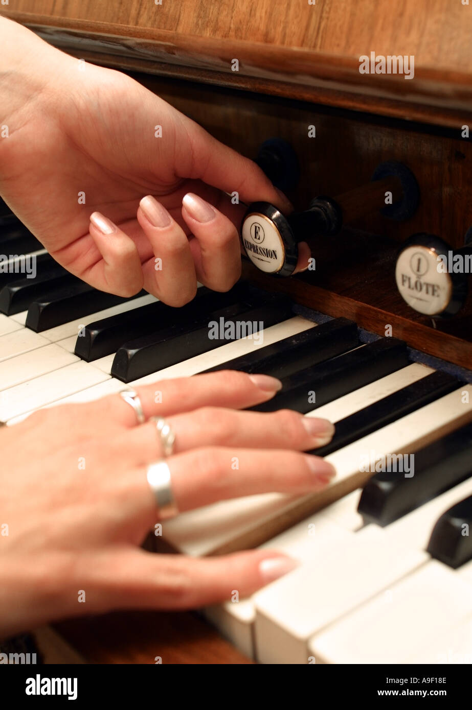 Female Hands on Harmonium Digitals Stock Photo