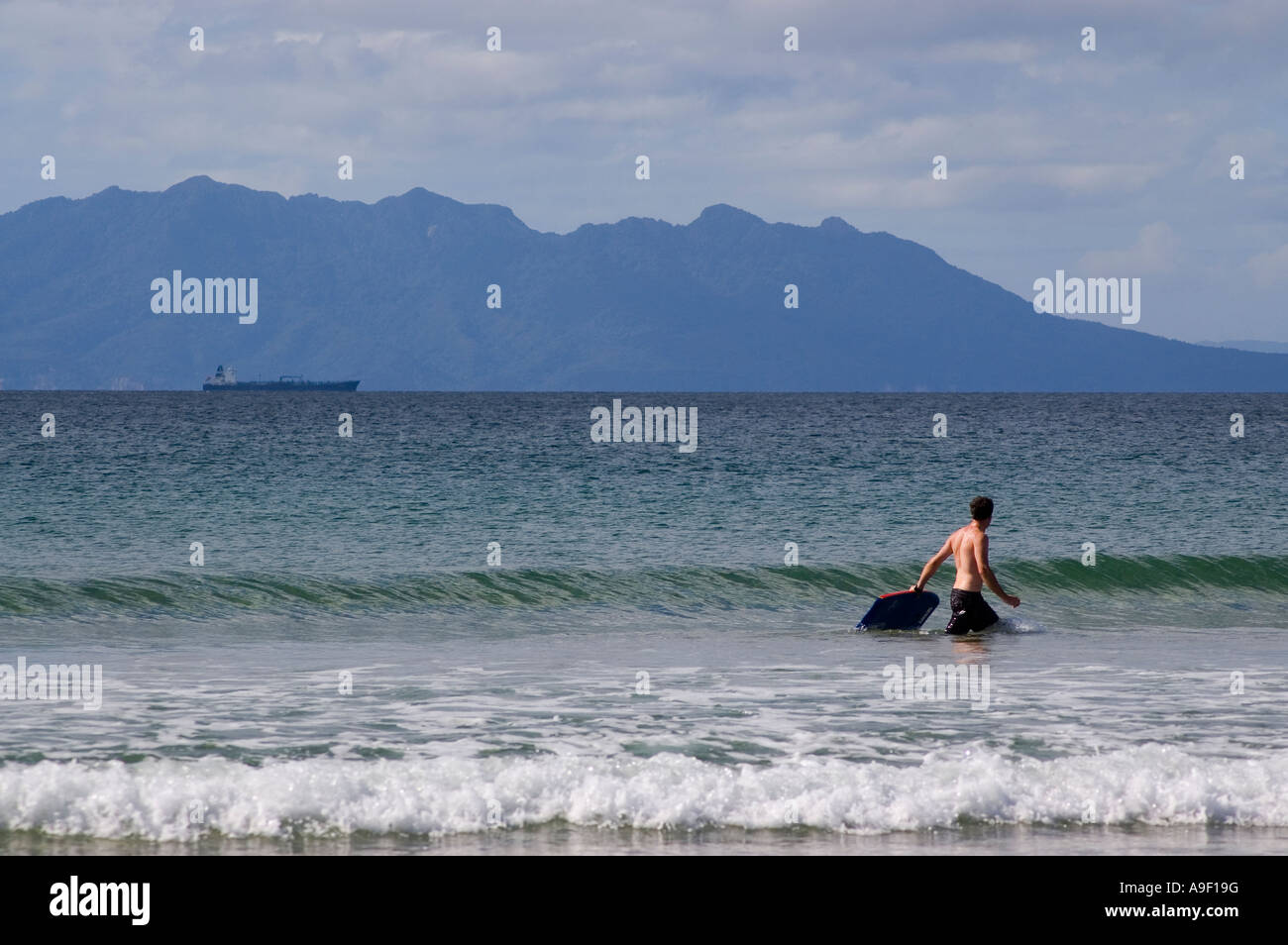 body boarder oil tanker tauwharanui regional park new zealand Stock