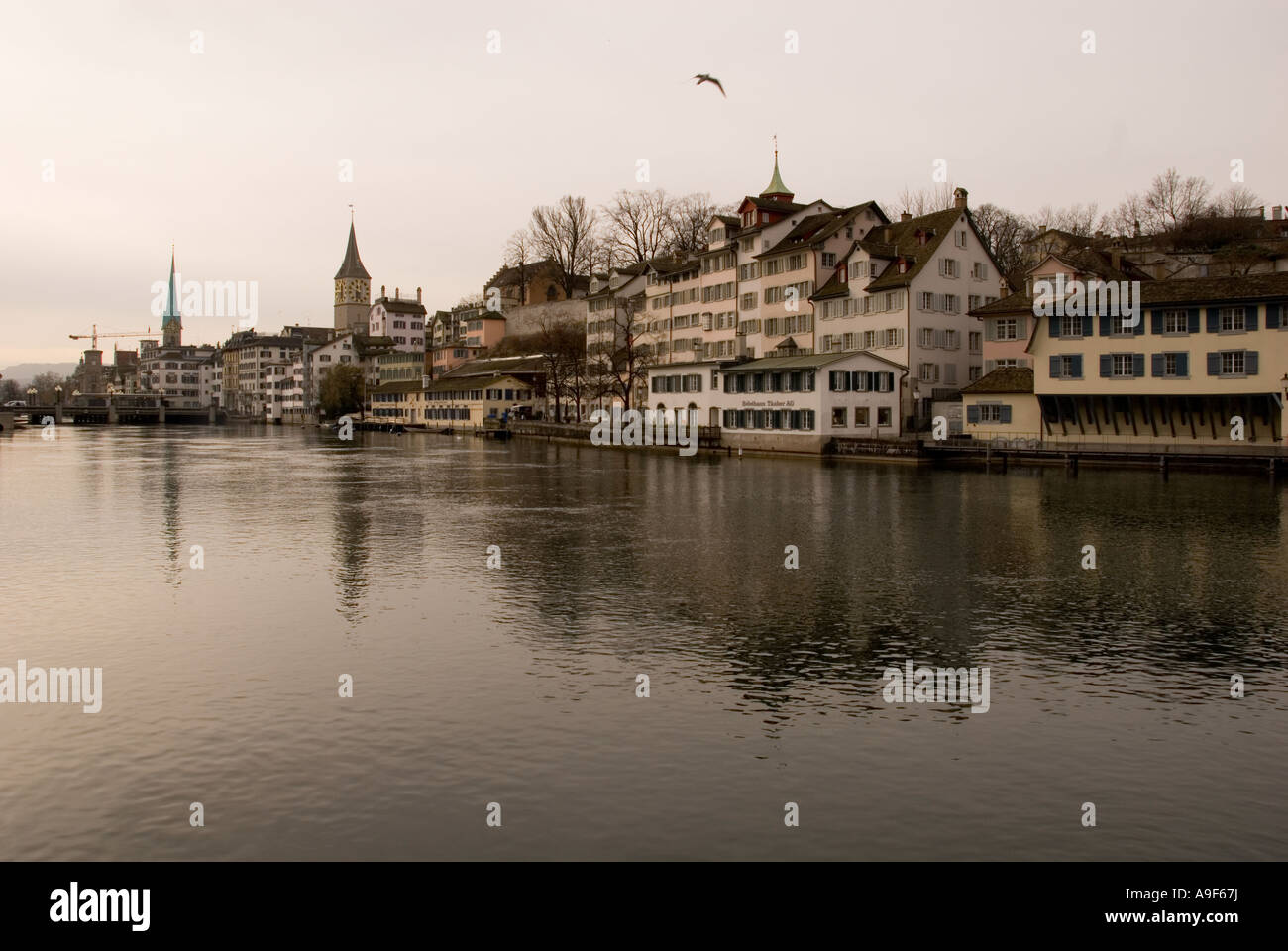 Limmat River in Zurich Stock Photo - Alamy