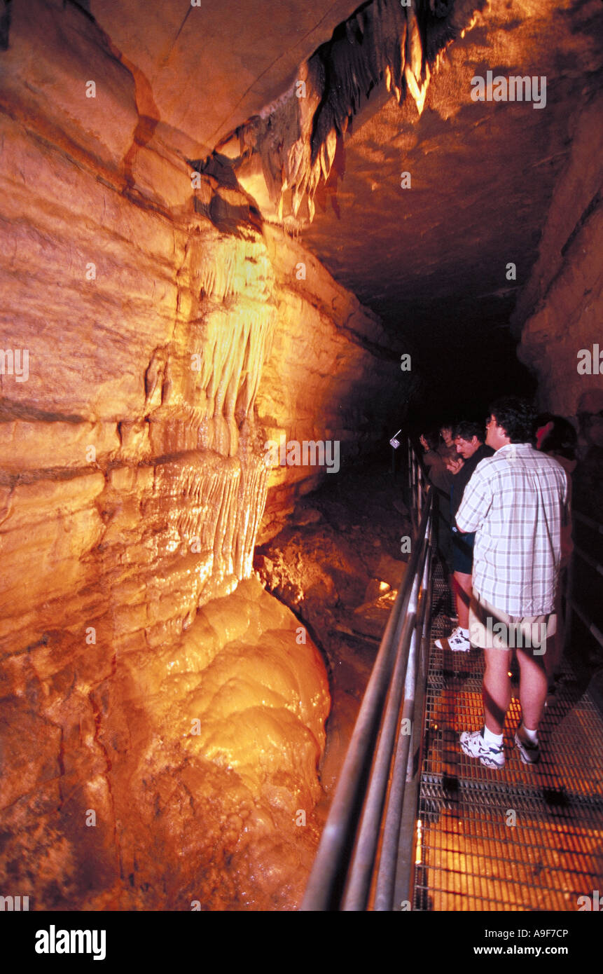 Elk258 4771 Minnesota Forestville SP Mystery Cave Stock Photo