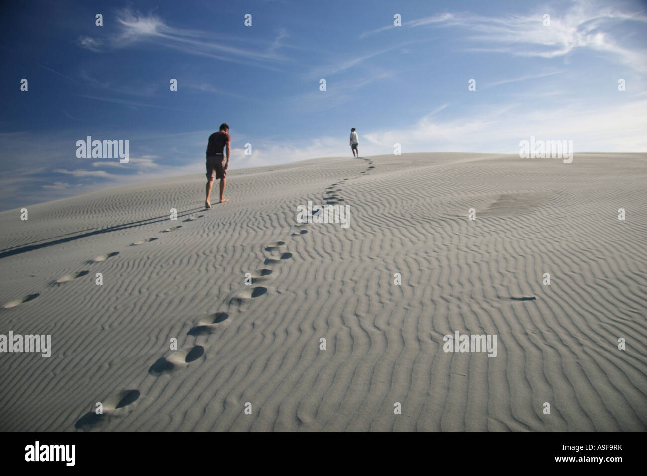 Tourists hiking up a huge crescentshaped sand dune on a guided tour of