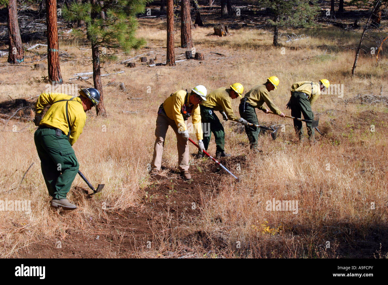bear valley national wildlife refuge fire crew prepares line before burn Stock Photo
