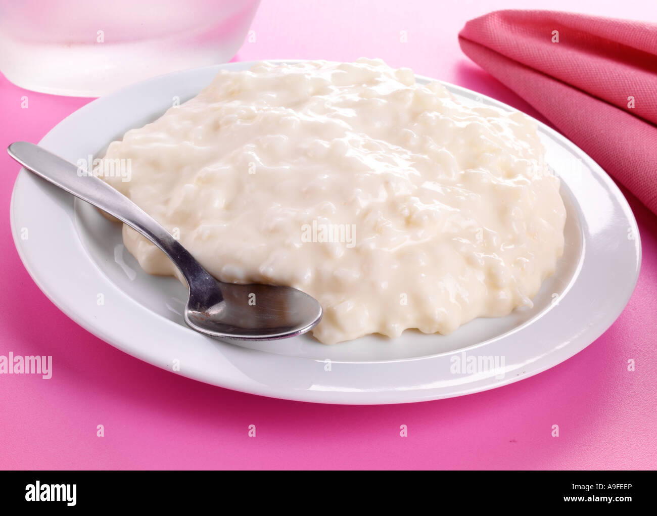 TRADITIONAL RICE PUDDING Stock Photo Alamy