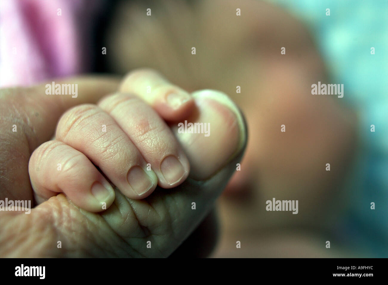 A baby grasps the thumb of its parent Stock Photo