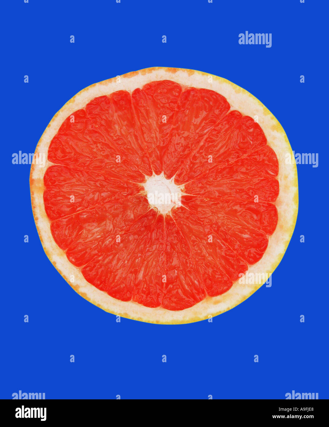 COMMON NAME Grapefruit LATIN NAME Citrus paradisi Stock Photo Alamy
