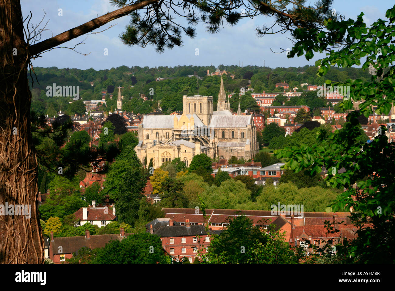 Winchester cathedral st giles' hill viewpoint town centre historic city