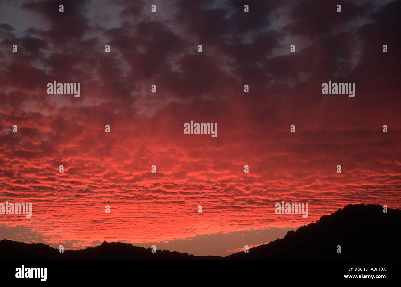Nimbostratus clouds at sunset Stock Photo - Alamy