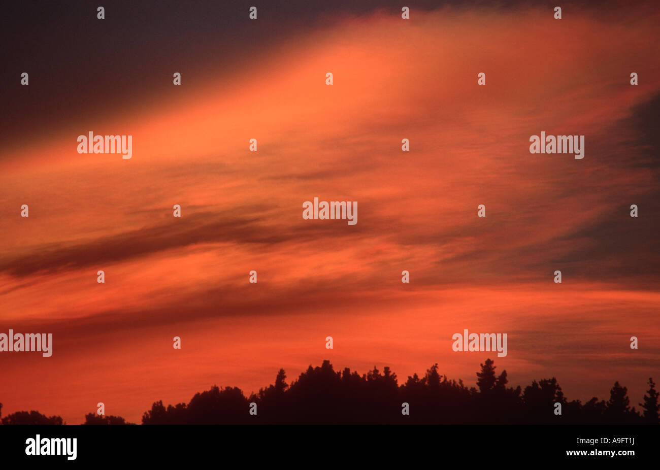 Nimbostratus clouds at sunset Stock Photo - Alamy