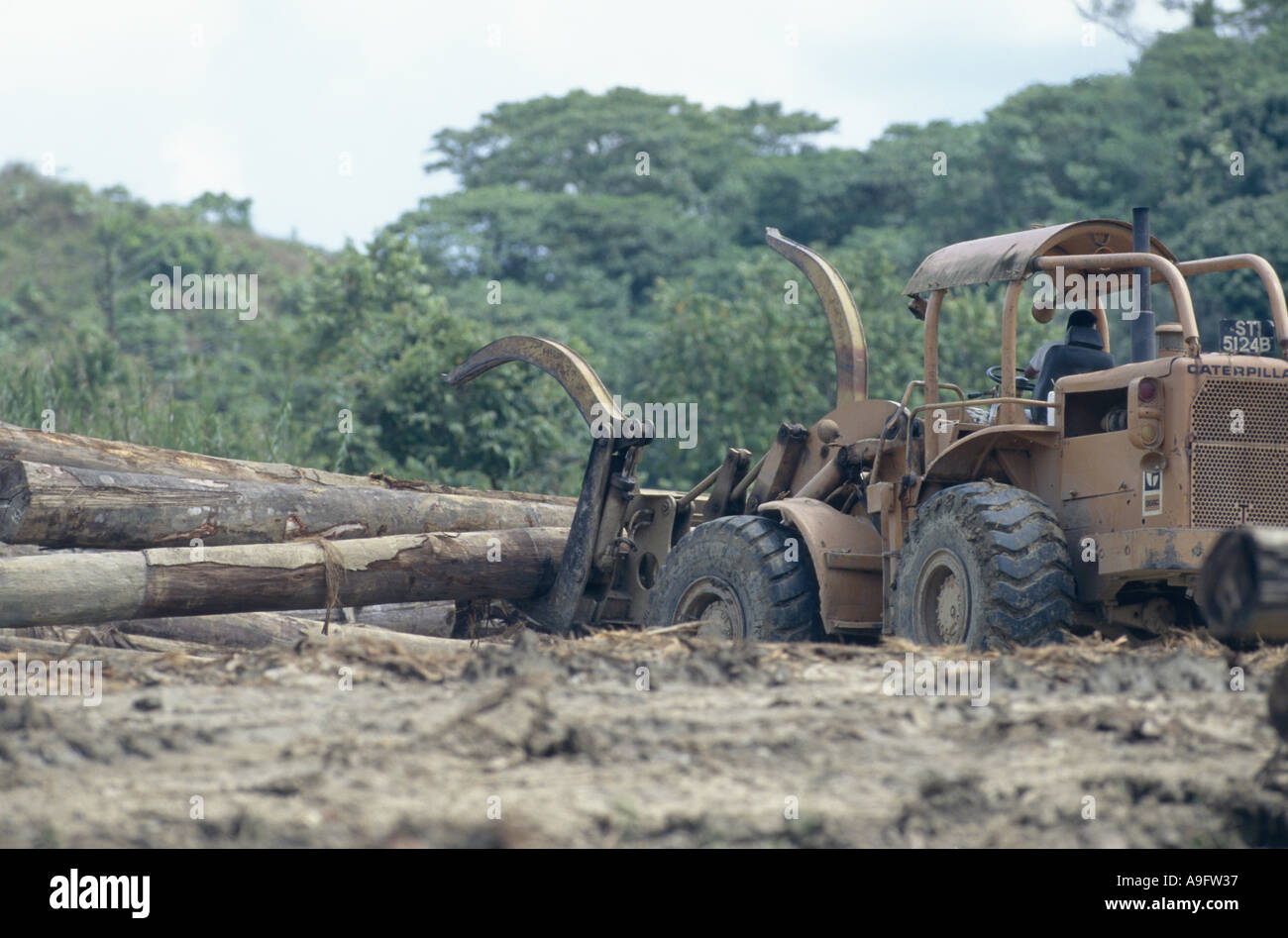 logging of rainforest, transporting logs, Borneo. Stock Photo