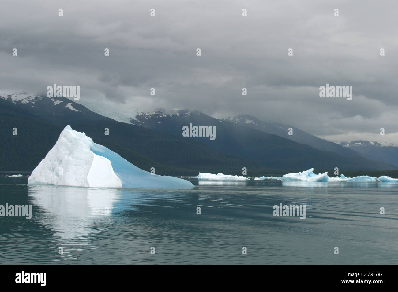 ice floe, blue ice, USA, Alaska, Endicott Arm Stock Photo