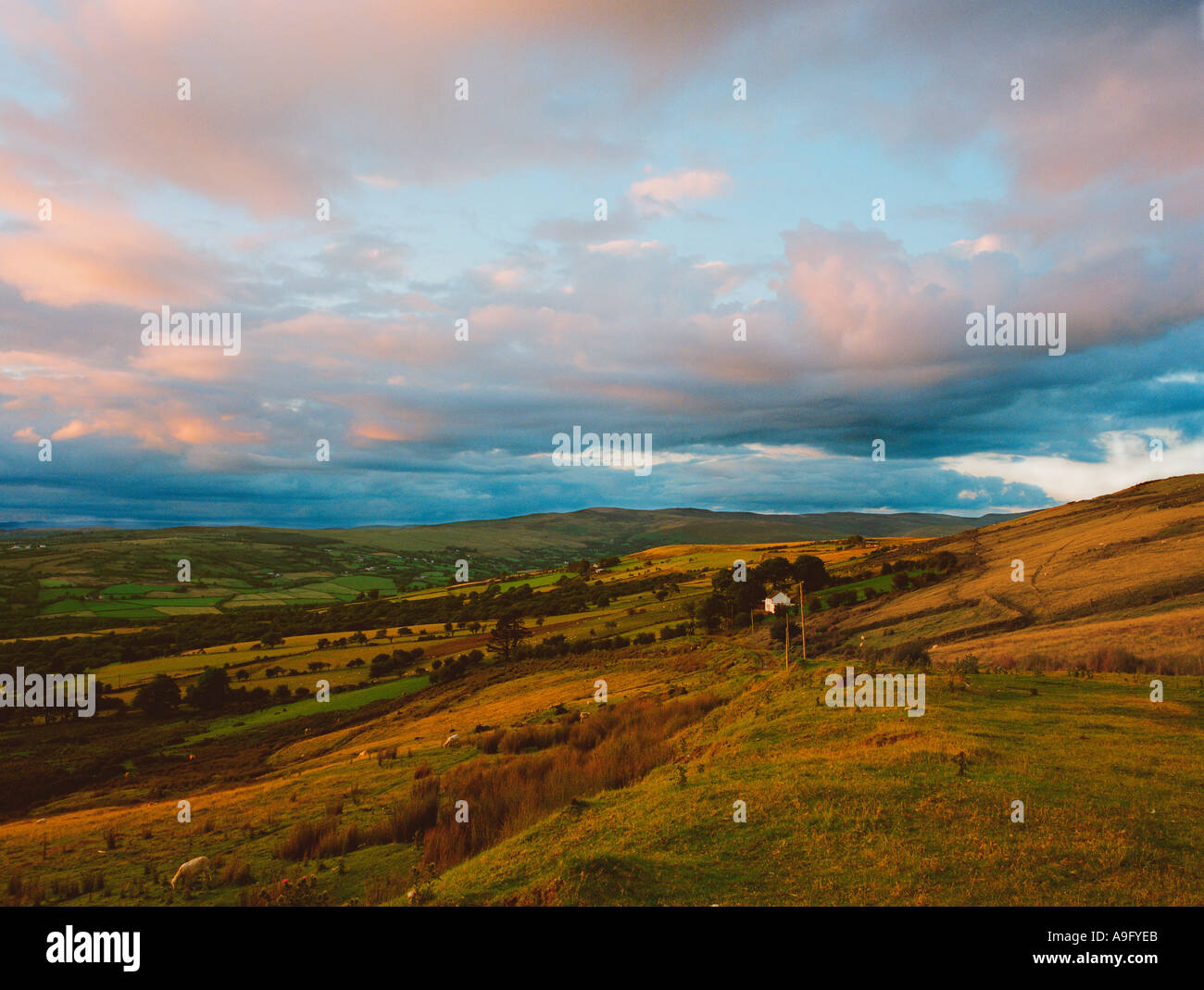Betws Mountain Ammanford Carmarthenshire West Wales Stock Photo - Alamy
