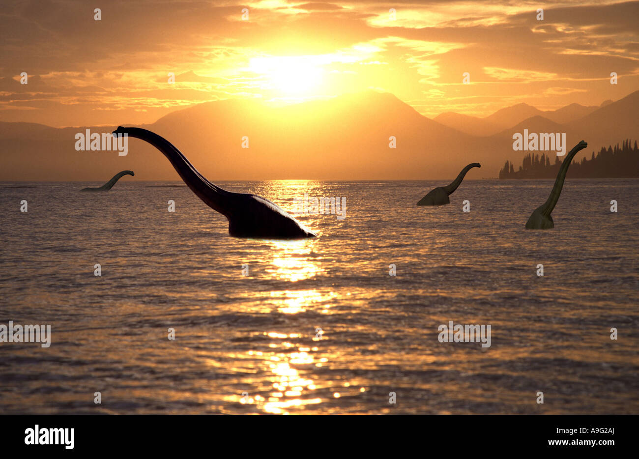 Brachiosaurus swimming in the sea Stock Photo