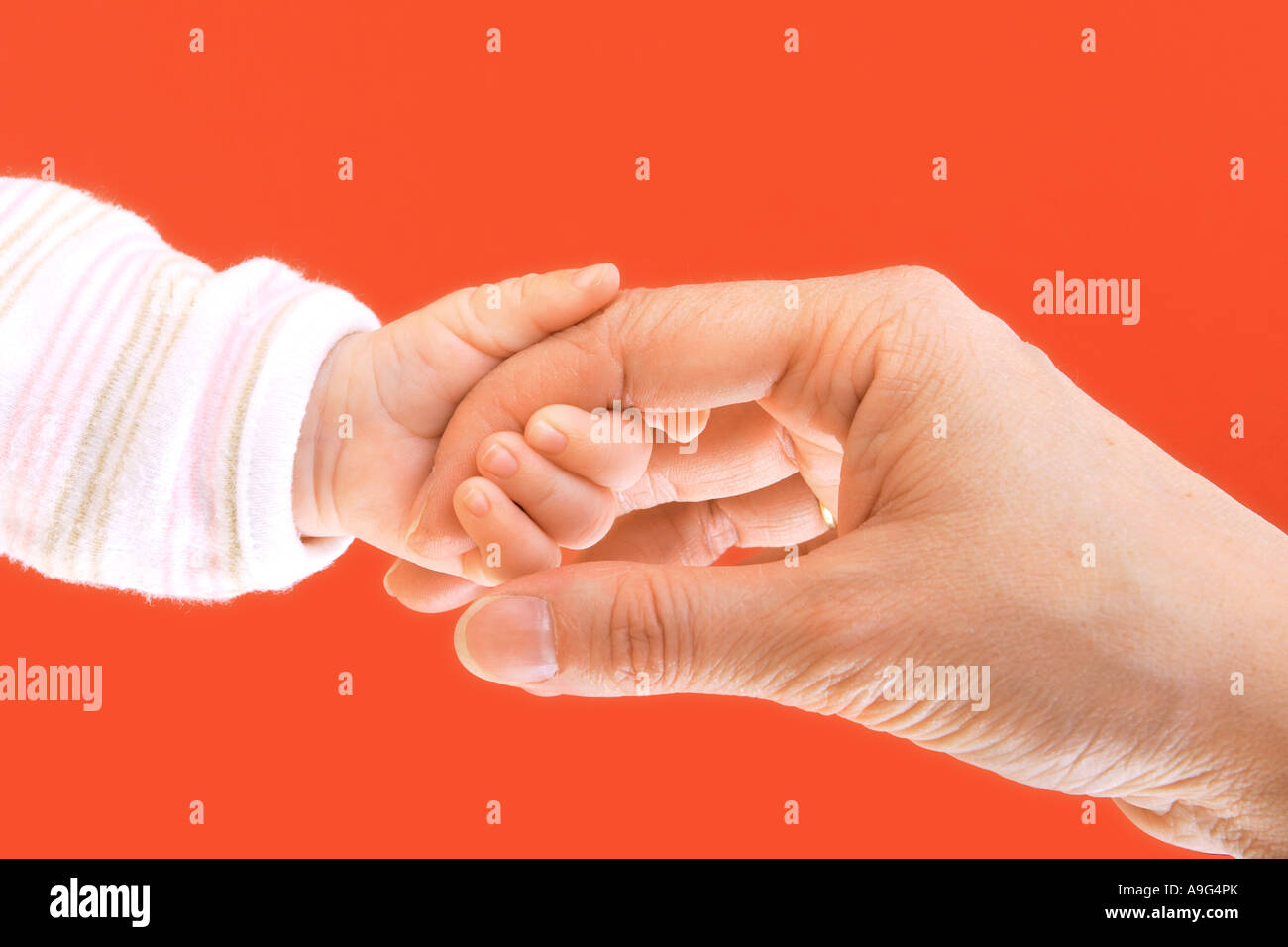 Baby and mother hand in hand Stock Photo Alamy
