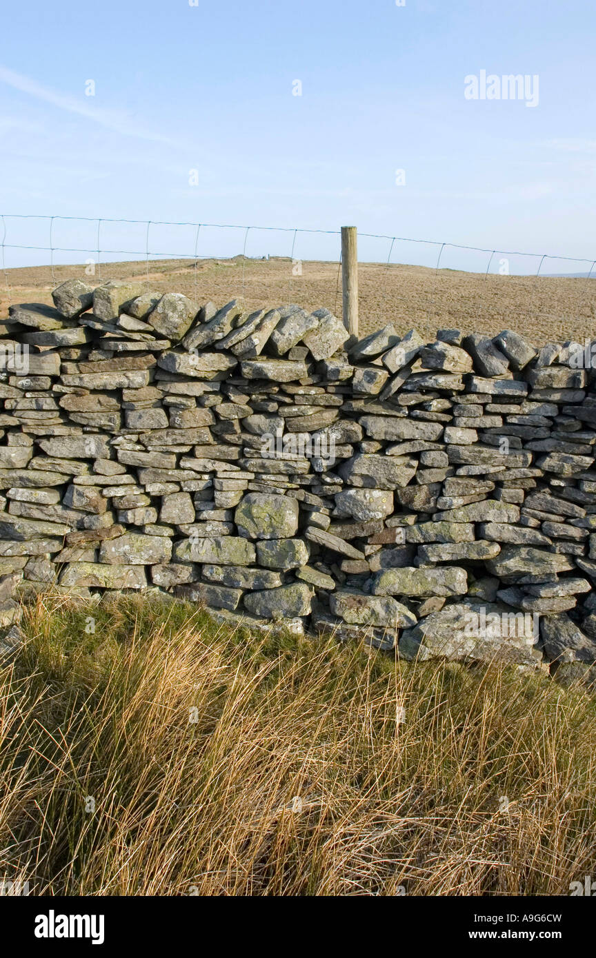 Dry stone wall Bridleway near Pen Hill, North Yorkshire Dales National Park Stock Photo