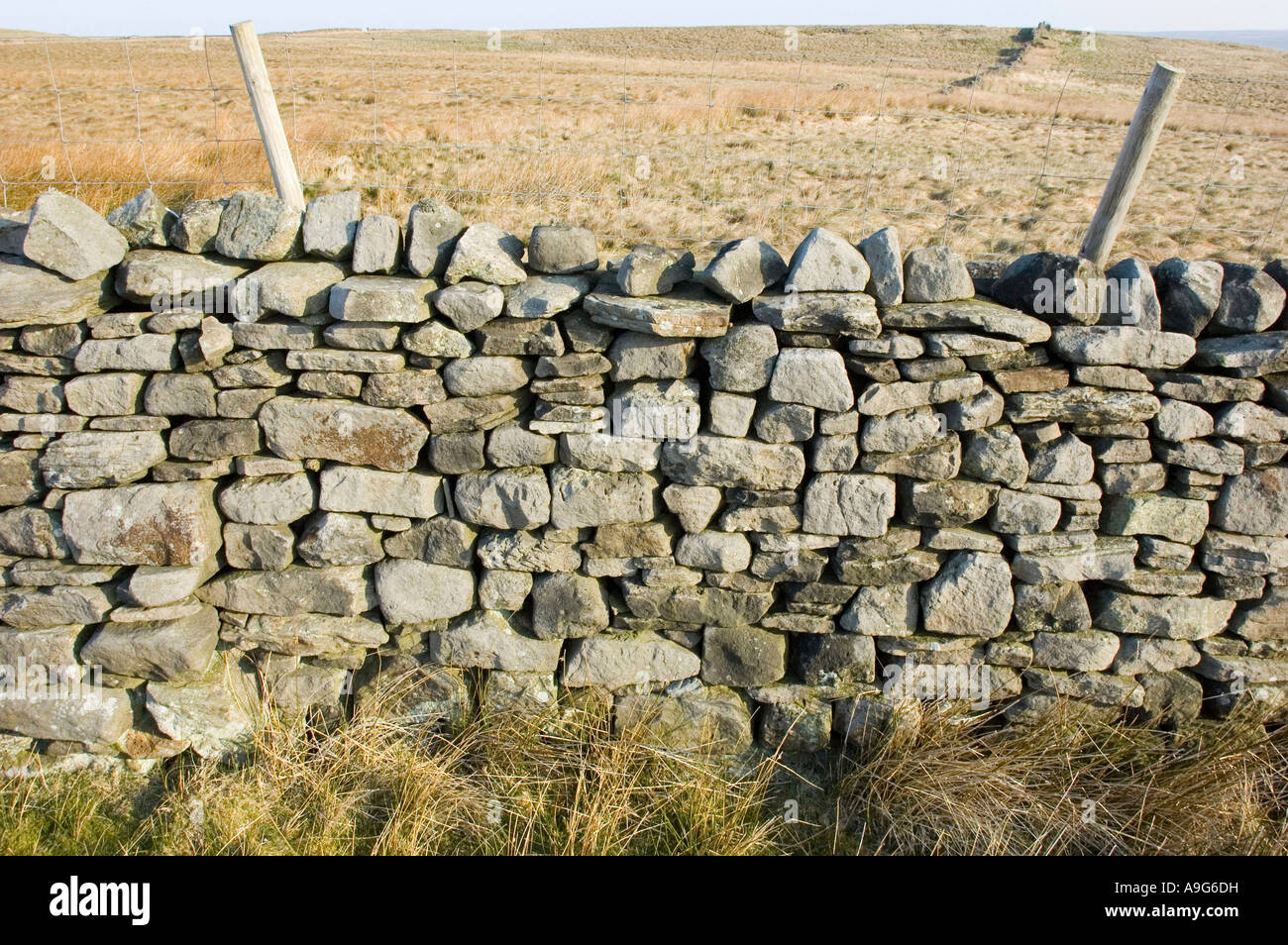 Dry stone wall Bridleway near Pen Hill, North Yorkshire Dales National Park Stock Photo