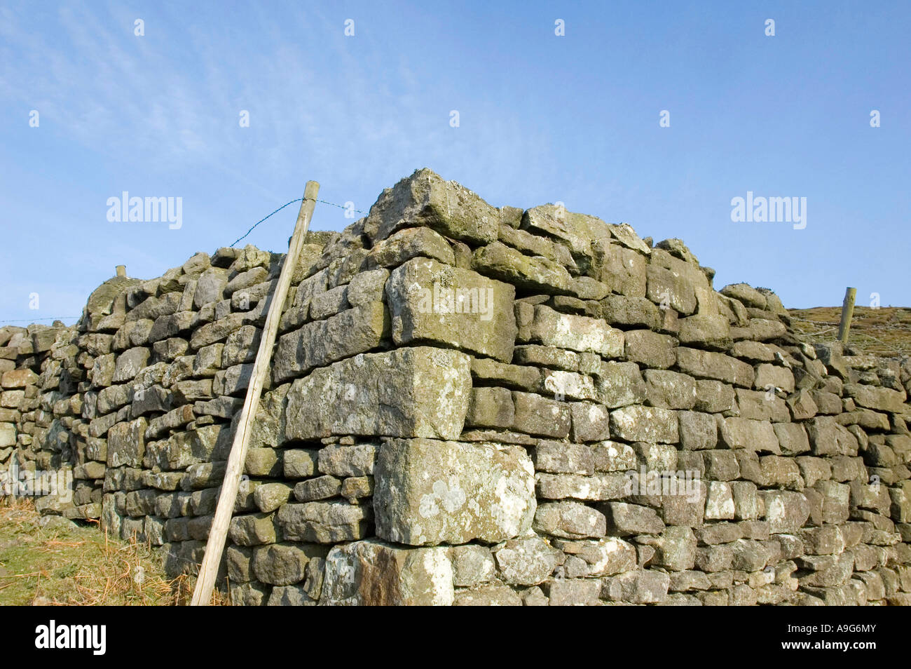 Drystone wall on moorland near Pen Hill, North Yorkshire Dales National Park Stock Photo