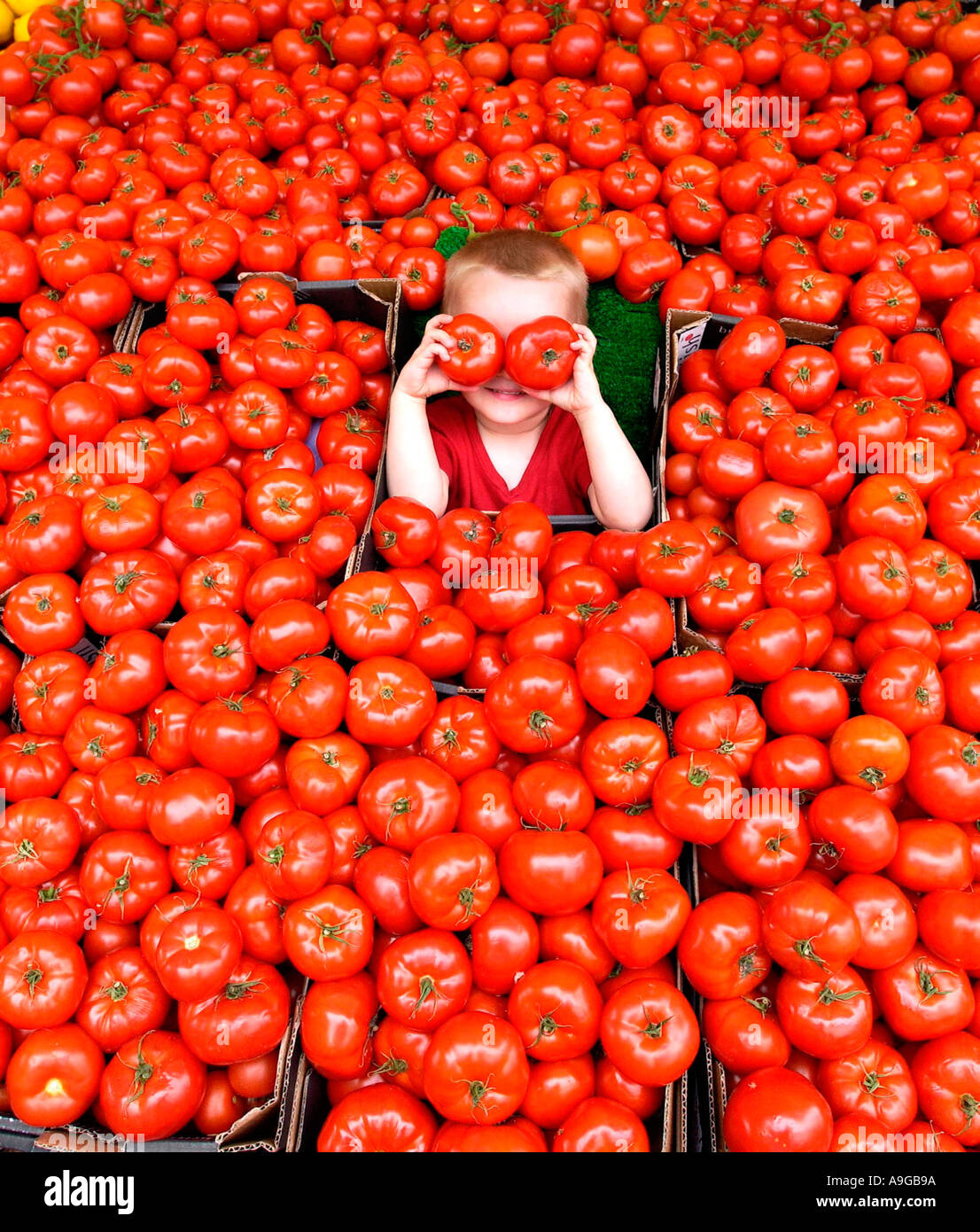 A three year old boy tests out a mass of English Beef Tomatoes on a fruit and vegetable stall at Brighton Open Market Stock Photo