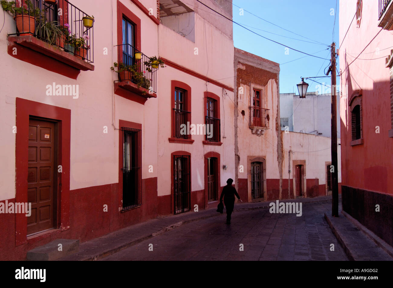 Colorful buildings line a narrow street in Zacatecas city Zacatecas Mexico Stock Photo Alamy
