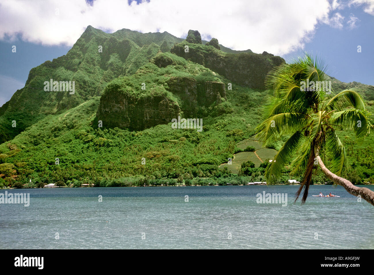 View across Cook's Bay on the island of Moorea near Tahiti in the Society islands group of French Polynesia. Stock Photo