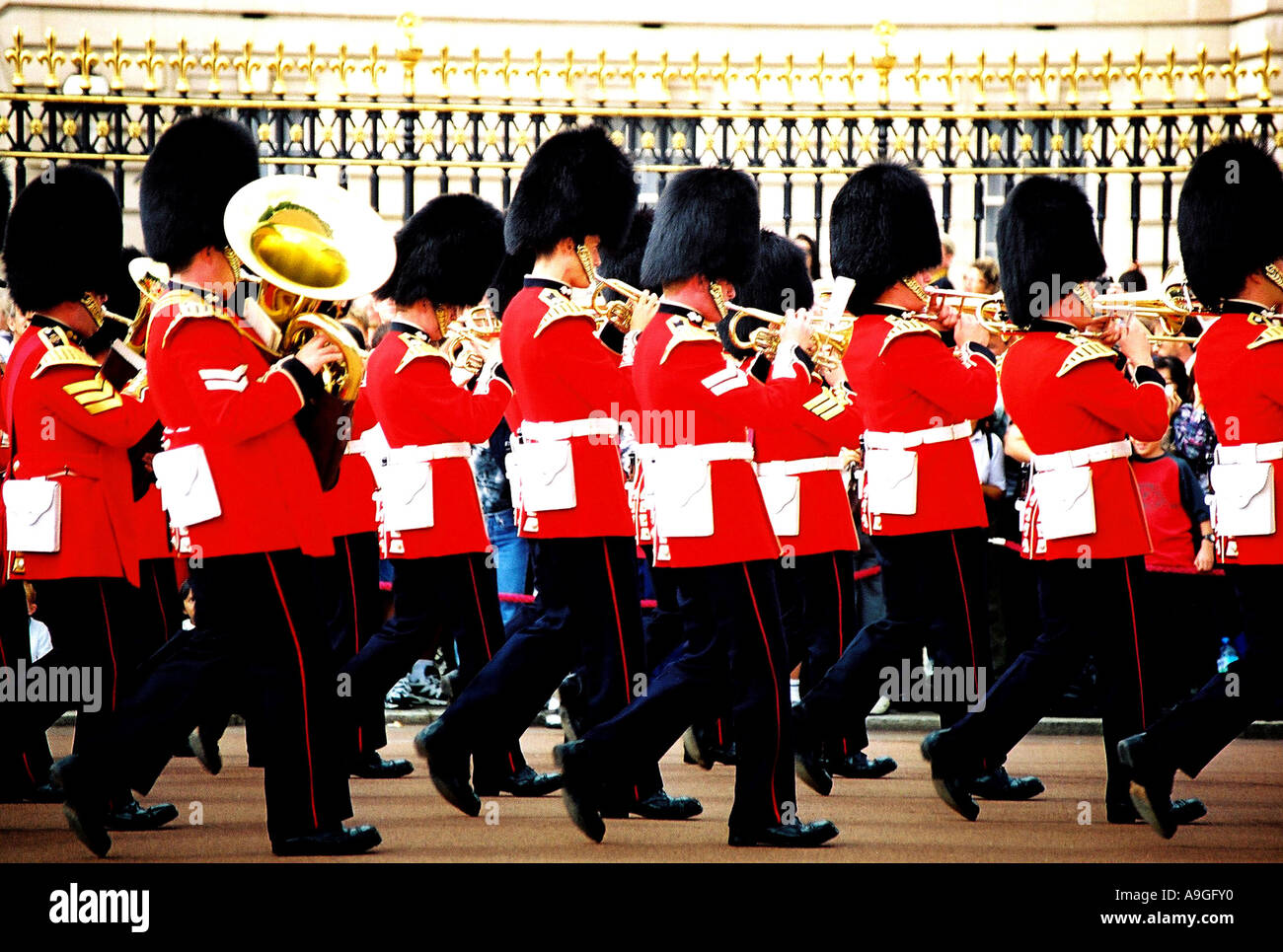 Royal Guards at Buckingham Palace, Changing of the Guards, playing brass band, wearing bear skin caps Militaer, Parade, Musikka Stock Photo